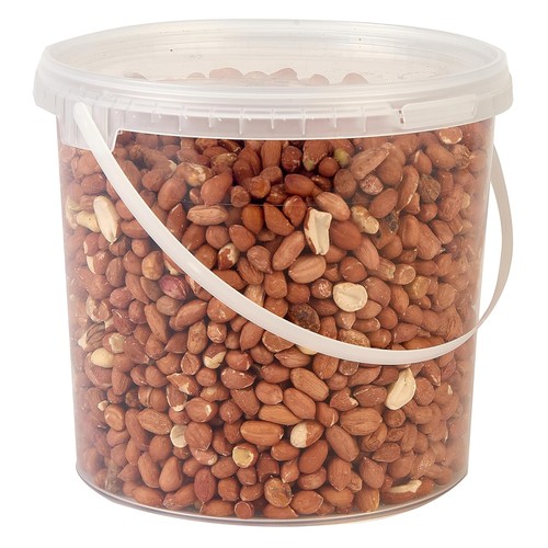 Wild bird peanut kernels 5l - bird,