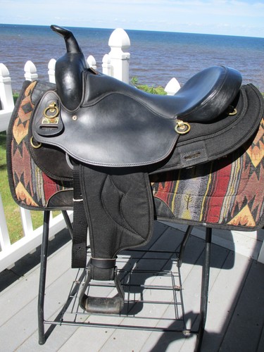 Arabian big horn 285 - 16.5'',
