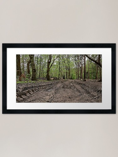 Woodland track framed - woodland, art