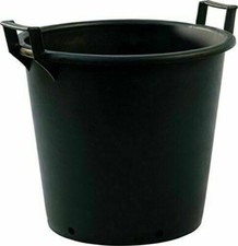 Large plastic plant - plastic, pot