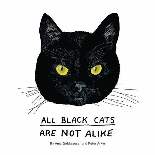 All black cats - all,