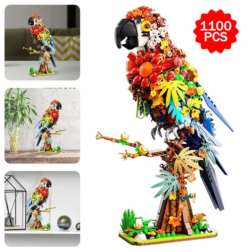 1100x parrot building - 1100x,