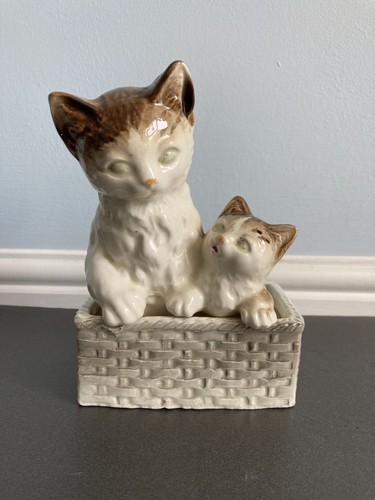 Cat kitten in basket - cat,