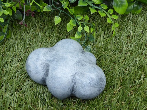 Unusual cloud knobbly plant - unusual,