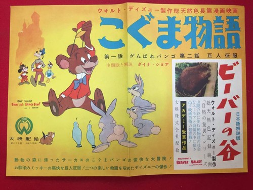 Bear story press sharps - press, b