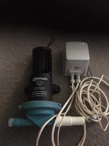 Whale 24v shower - whale, drain