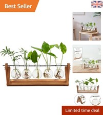Industrial-Style Hydroponic