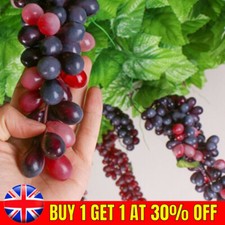 Home Plant Fruit Grape Fake