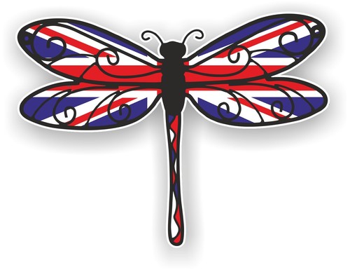 Beautiful dragonfly insect - beautiful,