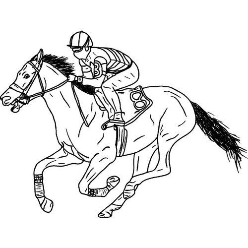 Race horse jockey - horse, jockey'