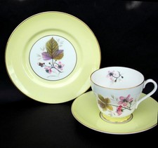 SUPERB SHELLEY 'BRAMBLE' PATTERN RICHMOND SHAPE TRIO