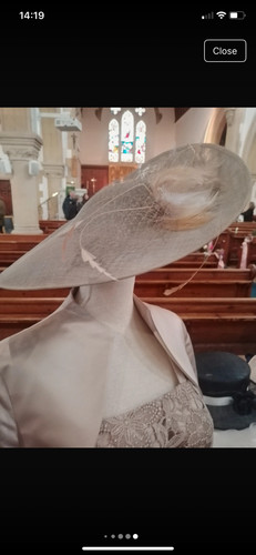 Mother bride groom dress - bride/groom,