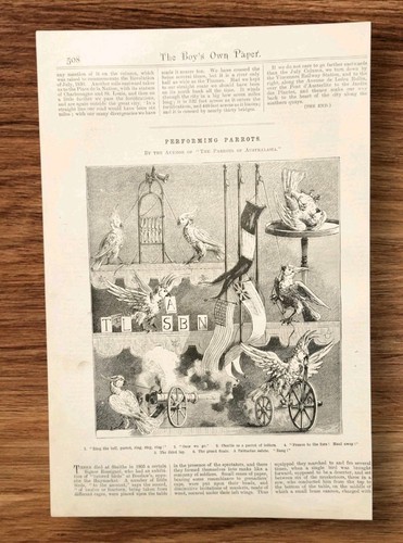 Antique 1888 performing circus - performing,