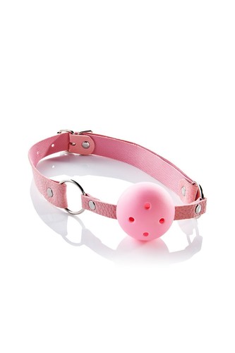 Ball gag pillow talk - ball, gag,