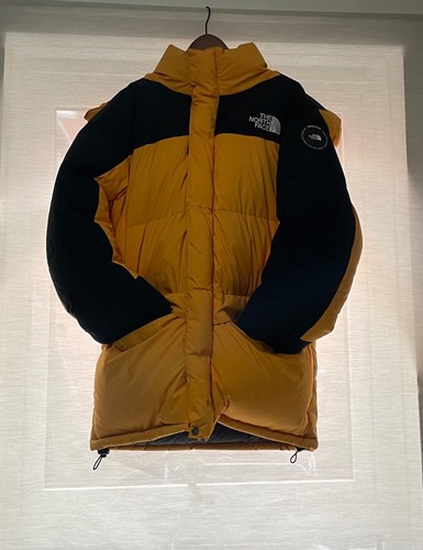 The north face 1994 himalayan - 1994,