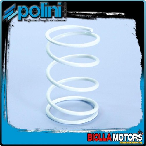 243 021 polini 1 - d.4.1, contrast