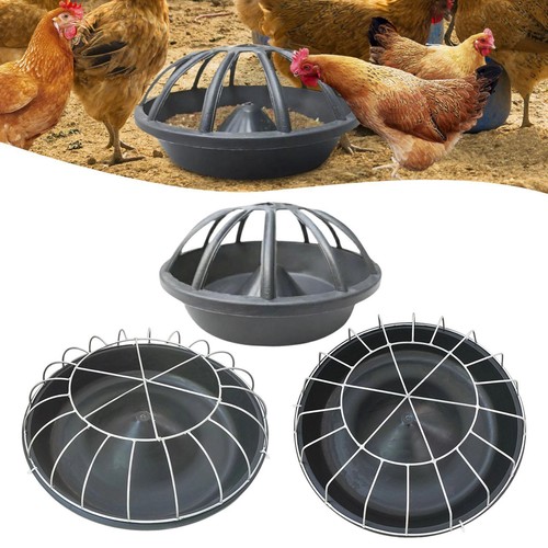Chicken feeder bird feeding - bird,