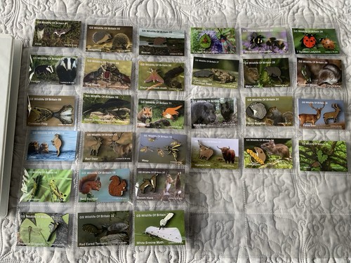None rspb badges gs - none,