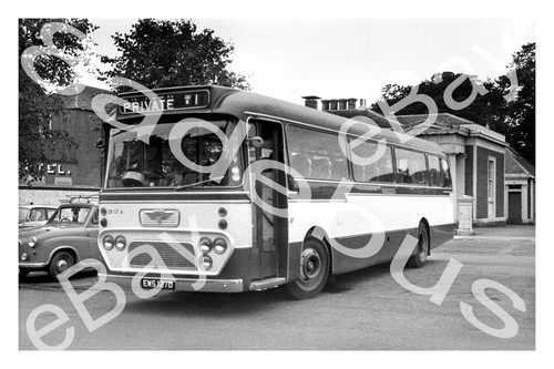 Bus photograph eastern - photograph,