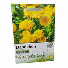 Dandelion Herb Seeds in Pictorial Pacvket from a UK Seller