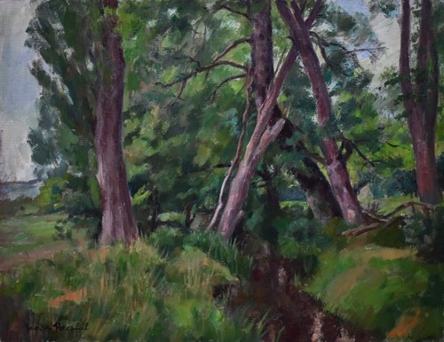 1950 forest stream landscape - forest,