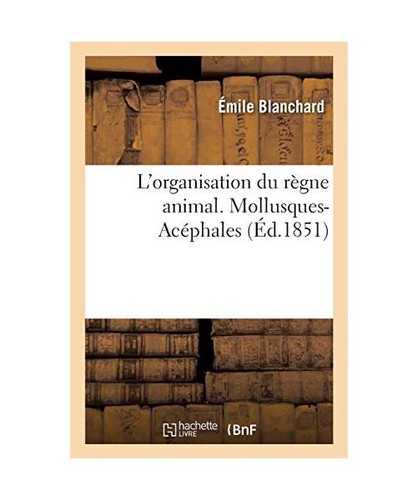 Organisation règne - l'organisation, du