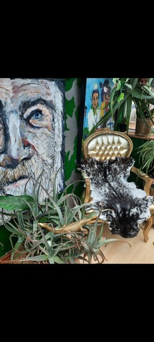 New goat hide rug - hide, "