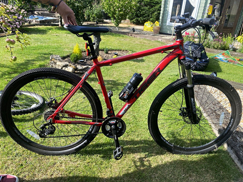 Tiger ace 29er - tiger, mountain