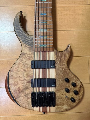 String electric bass - 7-string,