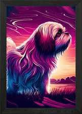 A beautiful Shitzu dog Framed
