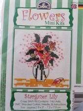 A Gorgeous Dmc Cross Stitch