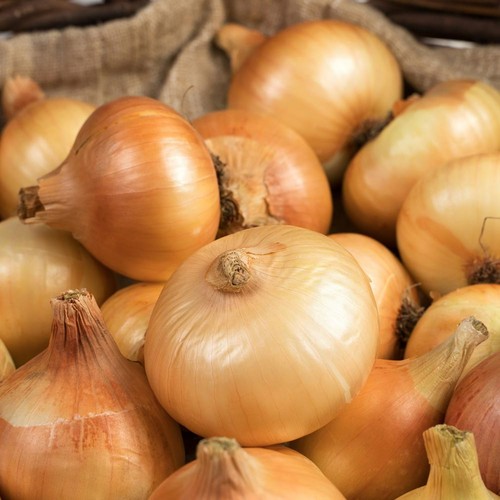 Yellow onion sets - yellow,