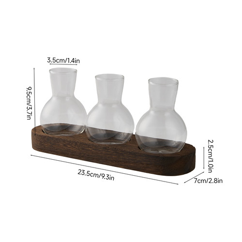 Glass plant propagation - glass,