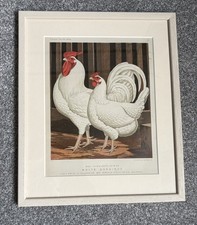Cassell’s Poultry Framed