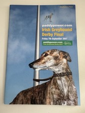 Irish Greyhound Derby Final