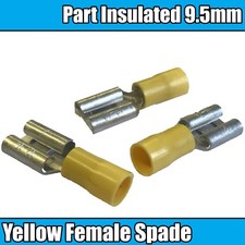 Yellow female spade exposed - female,