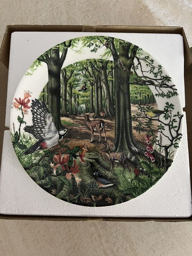 Wedgewood plate the - wedgewood, “the