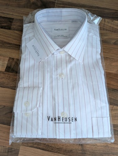 White men van - van, striped
