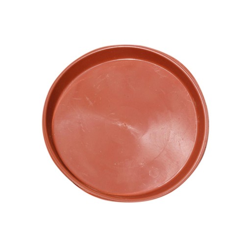 Hedgehog bowl hamster - hedgehog, food