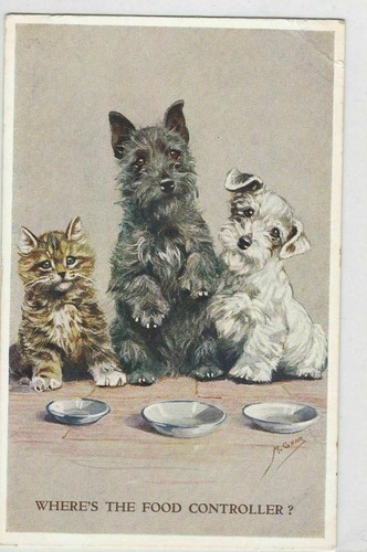 Collectable artist signed - artist,