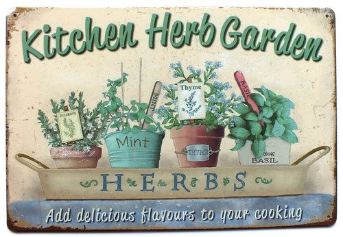 Kitchen herb garden - herb, metal