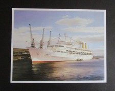 9.20" x  7.10"  MALCOLM ROOT