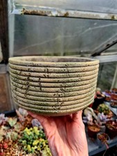 Cream weathered-look round