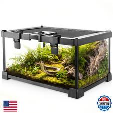 Mini Reptile Glass Terrarium