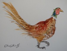 Original pen and ink & watercolour painting of a Pheasant on watercolour paper