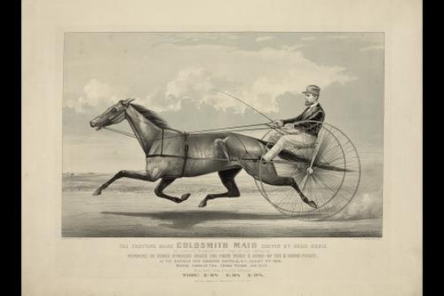 The trotting mare goldsmith - the,