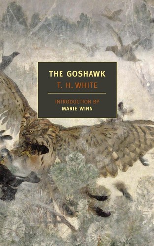 The goshawk - the,