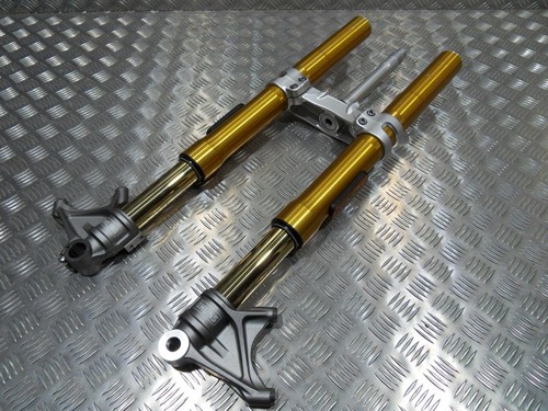Genuine triumph speed triple - triumph,