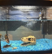 25L Fish Tank with Lighting and Accessories