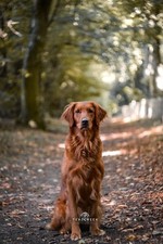 Canon EF Fit Lens Helios 44-2